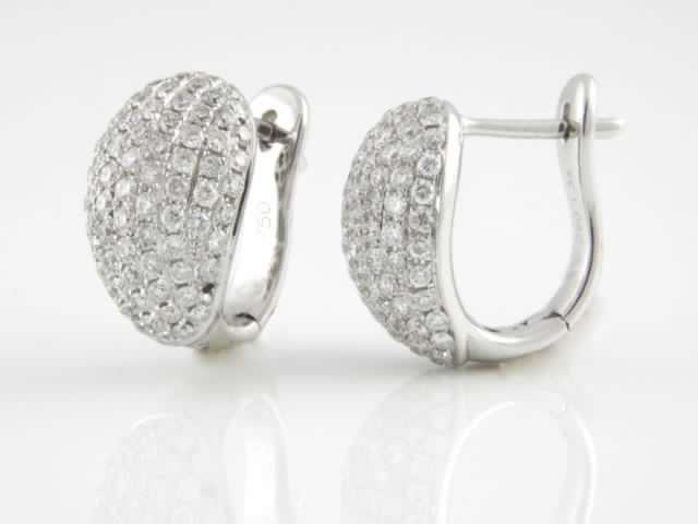 Hoop Earrings EA162