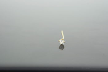 Piercer Earrings