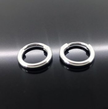 Sterling Silver Earrings SE002