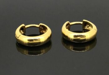 Hoop Earrings