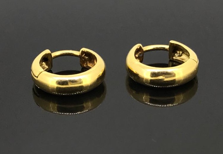 Hoop Earrings